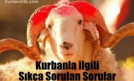 Kurban: Kurbanla İlgili Sıkça Sorulan Sorular