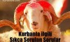 Kurban: Kurbanla İlgili Sıkça Sorulan Sorular